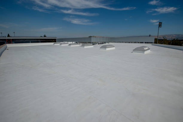 Best Cold Roofs  in Martinsburg, WV