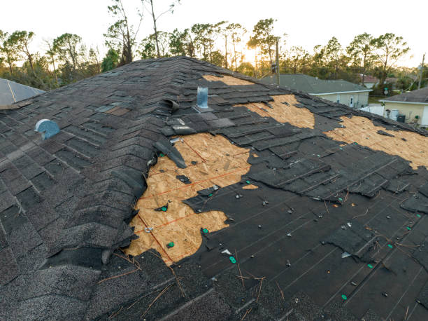 Best Asphalt Shingle Roofing  in Martinsburg, WV