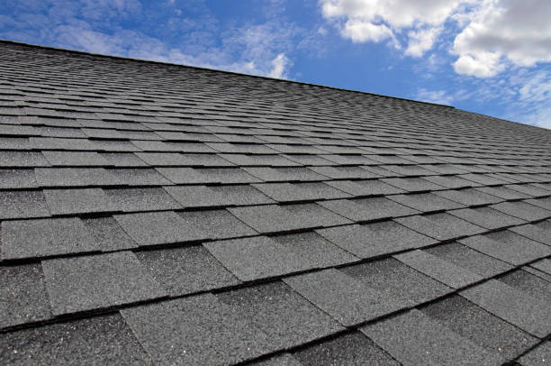 Best Roof Insulation Installation  in Martinsburg, WV